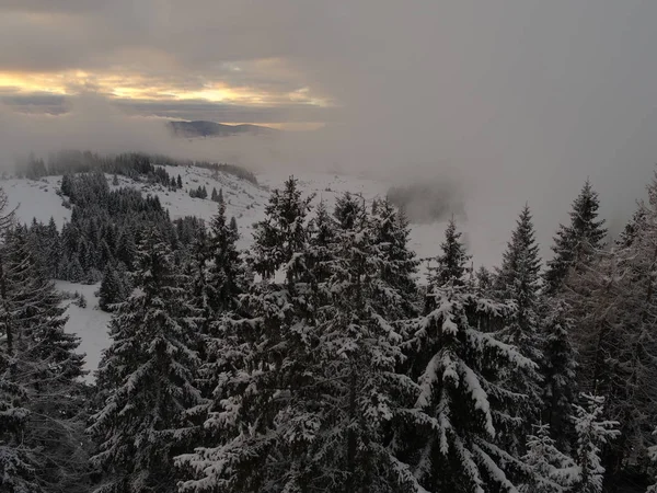 Luchtfoto Van Verse Sneeuw Winter Forest Bergen Zonsondergang Kerstavond — Stockfoto