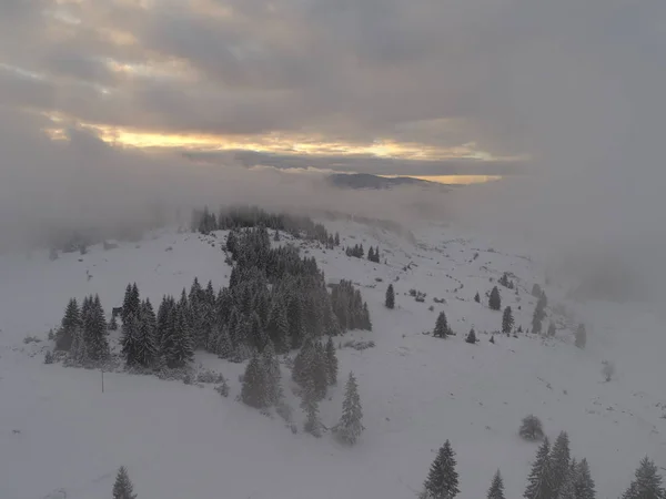 クリスマスイブの夕日で山で冬の森を覆う新鮮な雪の空撮 — ストック写真