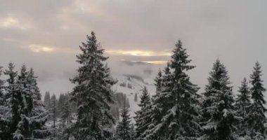 taze karla kaplı kış orman yüksek dağları günbatımı'nda havadan görünümü