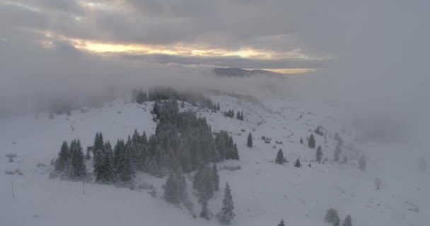 Vista Aerea Della Fresca Foresta Invernale Innevata Alta Montagna Tramonto — Video Stock