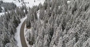 havadan görünümü taze kar kış orman karayolu ile kaplı