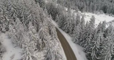 havadan görünümü taze kar kış orman karayolu ile kaplı