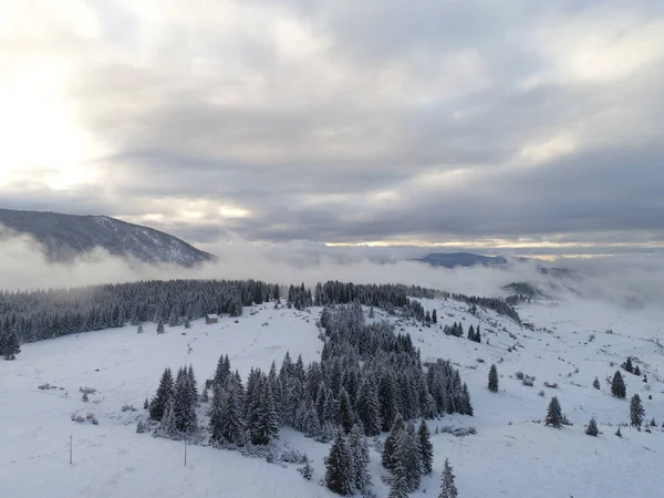 Vista Aerea Neve Fresca Che Copre Foresta Invernale Montagna Tramonto — Foto Stock