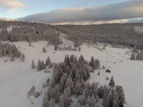 Vue Aérienne Neige Fraîche Recouvrant Forêt Hivernale Montagne Lumière Jour — Photo