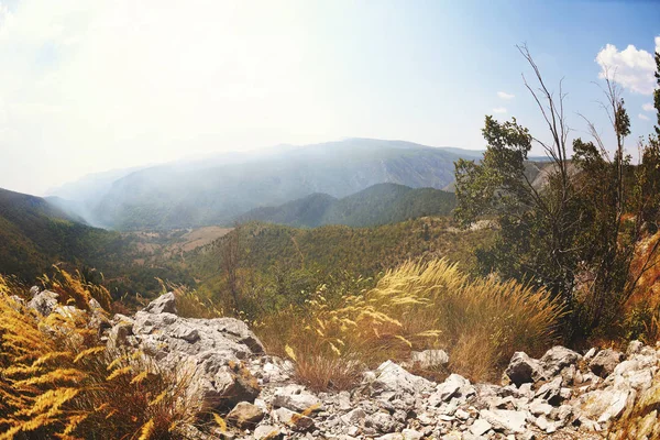 Paisaje Natural Auténtico Hora Verano —  Fotos de Stock