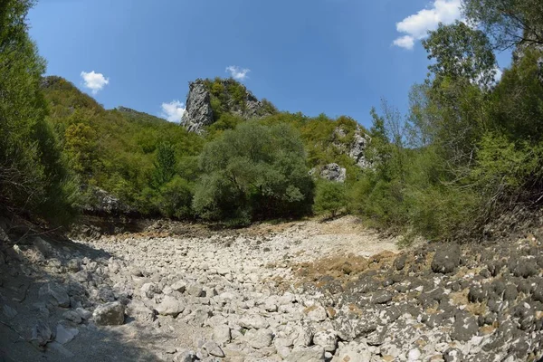 Divoká Řeka Sušené Koryta Letní Den Klimatické Změny Signálů — Stock fotografie