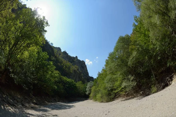 Rio Selvagem Secou Leito Rio Dia Verão Sinais Mudança Climática — Fotografia de Stock