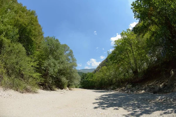 Άγριο Ποτάμι Αποξηραμένα Κοίτη Καλοκαιρινή Μέρα Σήματα Της Κλιματικής Αλλαγής — Φωτογραφία Αρχείου