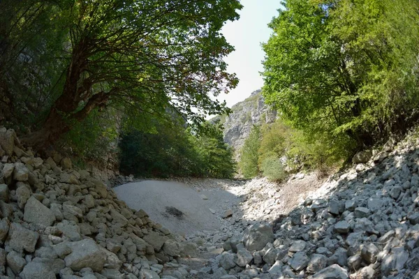 Divoká Řeka Sušené Koryta Letní Den Klimatické Změny Signálů — Stock fotografie