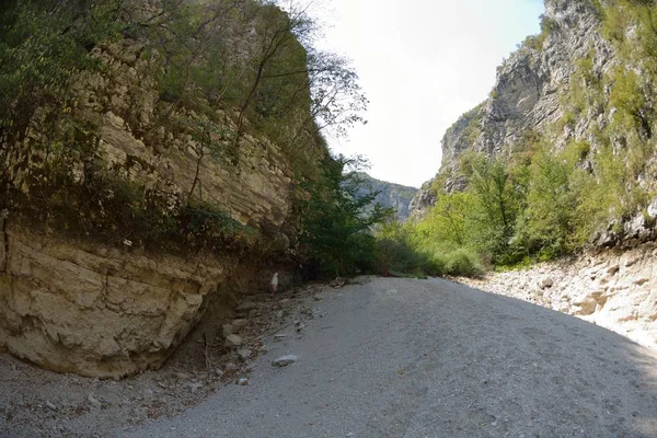 Seinor Mužské Tramp Relaxační Přírodě Při Chůzi Tour Krásný Letní — Stock fotografie