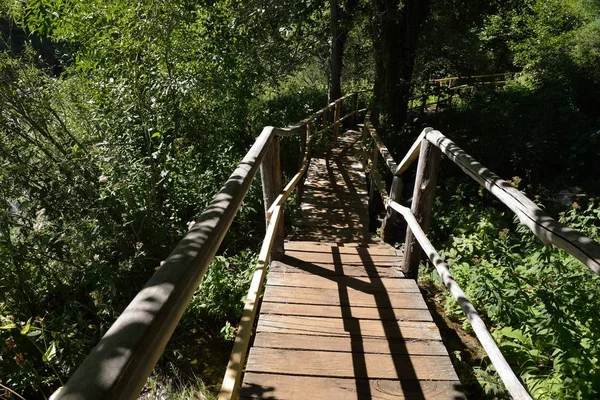 Ponte Madeira Vermelha Sobre Rio Selvagem Bela Natureza Verão — Fotografia de Stock