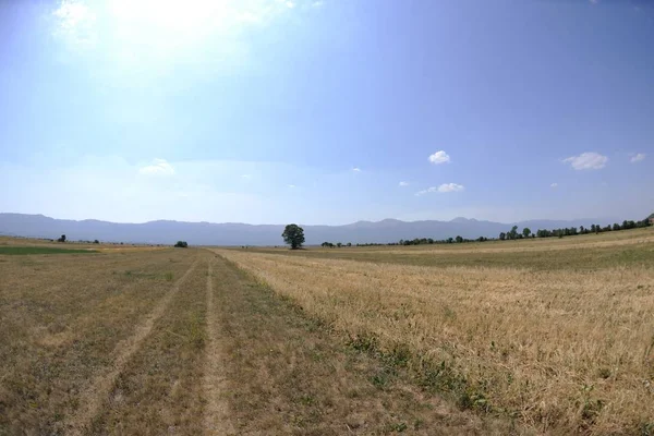 Authentieke Natuur Landschap Zomertijd — Stockfoto