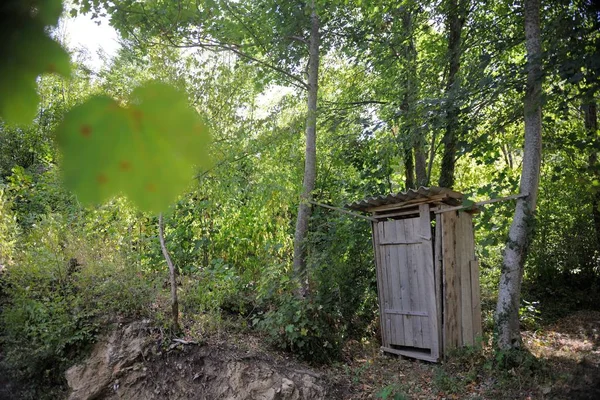 Vieux Bois Rétro Toilettes Extérieures Forêt — Photo