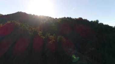 Ağaçlar ve güneş ışınları ile inanılmaz dağ manzaralı