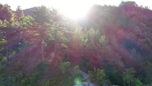 Prachtig Uitzicht Van Berg Met Bomen Zonnestralen — Stockvideo