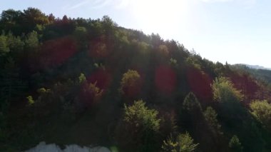 Ağaçlar ve güneş ışınları ile inanılmaz dağ manzaralı