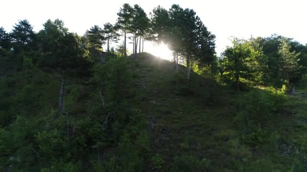 Fantastisk Utsikt Över Bergen Med Träd Och Solens Strålar — Stockvideo