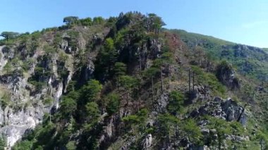 Ağaçlar ve güneş ışınları ile inanılmaz dağ manzaralı