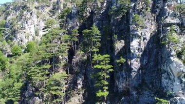 Ağaçlar ve güneş ışınları ile inanılmaz dağ manzaralı