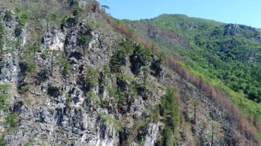 Ağaçlar ve güneş ışınları ile inanılmaz dağ manzaralı