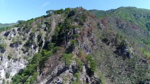 Vue imprenable sur la montagne avec des arbres et des rayons de soleil 