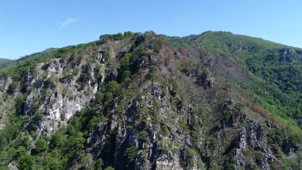 Vista Incrível Montanha Com Árvores Raios Sol — Vídeo de Stock