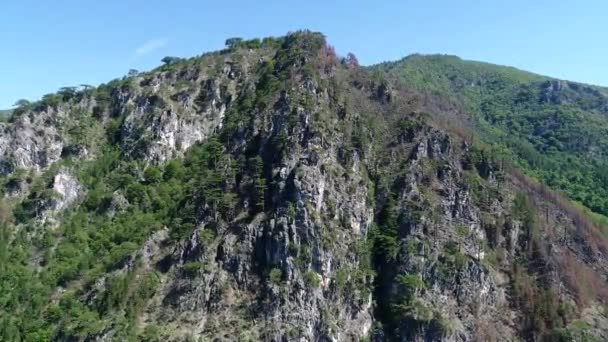 Vista Incrível Montanha Com Árvores Raios Sol — Vídeo de Stock