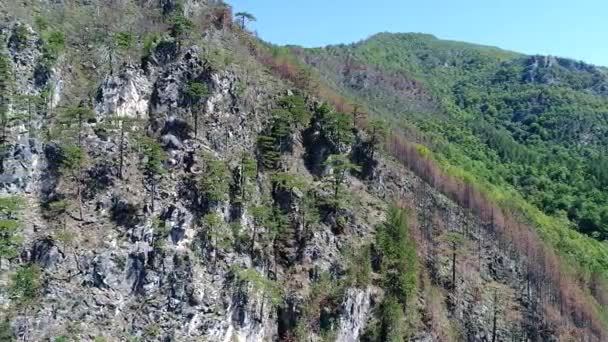 Vue imprenable sur la montagne avec des arbres et des rayons de soleil 