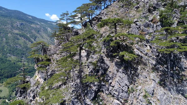 Vista Incrível Montanha Com Árvores Raios Sol — Fotografia de Stock