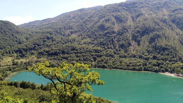 山湖在森林与新鲜干净的绿色水在夏天 — 图库照片