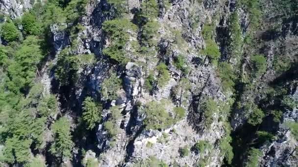 Prachtig Uitzicht Van Berg Met Bomen Zonnestralen — Stockvideo