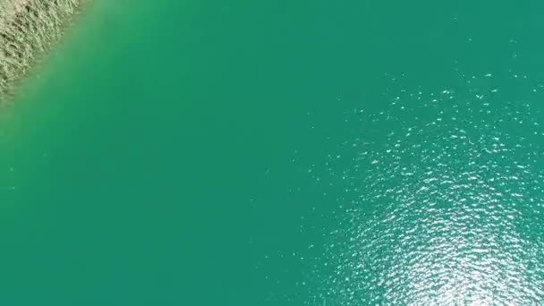 Удивительный Вид Чистую Голубую Воду Зелеными Деревьями Кустарниками — стоковое видео