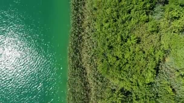 Úžasný Pohled Jasné Modré Vody Zelenými Stromy Keře — Stock video