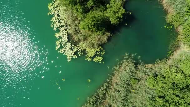Fantastisk Utsikt Över Klarblå Vatten Med Gröna Träd Och Buskar — Stockvideo