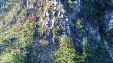 Ağaçlar ve güneş ışınları ile inanılmaz dağ manzaralı