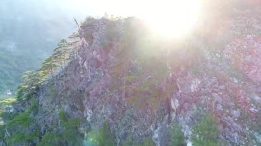 Ağaçlar ve güneş ışınları ile inanılmaz dağ manzaralı
