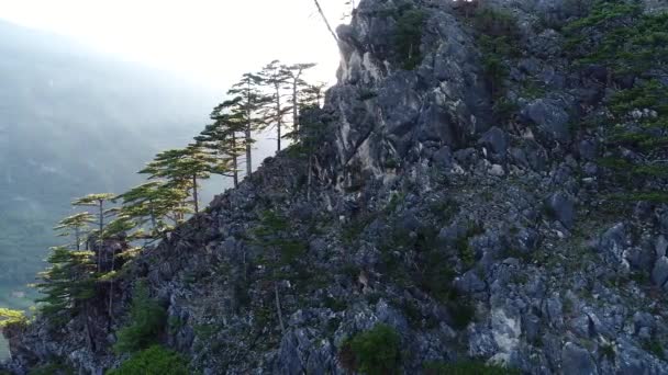Amazing Mountain View Trees Sun Rays — Stock Video