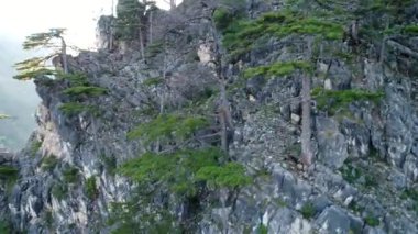 Ağaçlar ve güneş ışınları ile inanılmaz dağ manzaralı