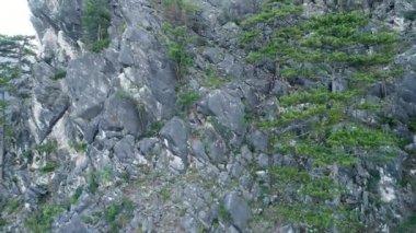 Ağaçlar ve güneş ışınları ile inanılmaz dağ manzaralı