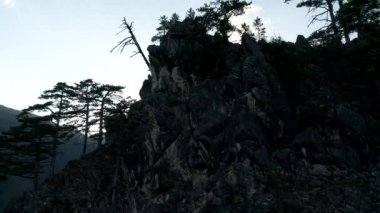 Ağaçlar ve güneş ışınları ile inanılmaz dağ manzaralı