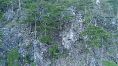 Ağaçlar ve güneş ışınları ile inanılmaz dağ manzaralı