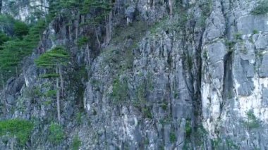 Ağaçlar ve güneş ışınları ile inanılmaz dağ manzaralı