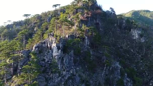 Prachtig Uitzicht Van Berg Met Bomen Zonnestralen — Stockvideo