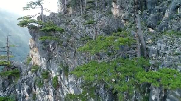 Atemberaubender Blick Auf Die Berge Mit Bäumen Und Sonnenstrahlen — Stockvideo