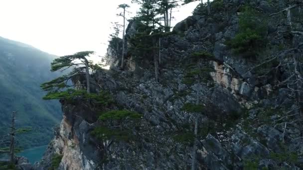 Úžasné Mountain View Stromy Sluneční Paprsky — Stock video