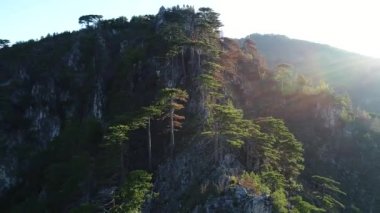 Ağaçlar ve güneş ışınları ile inanılmaz dağ manzaralı