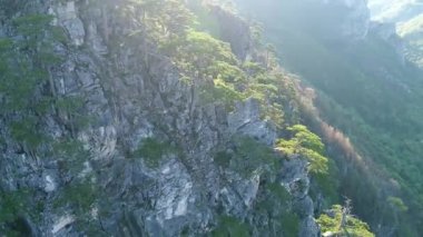 Ağaçlar ve güneş ışınları ile inanılmaz dağ manzaralı