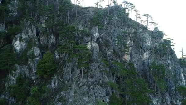 Úžasné Mountain View Stromy Sluneční Paprsky — Stock video