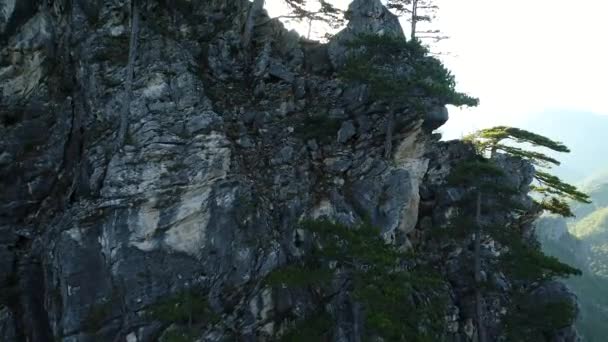 Vue Imprenable Sur Montagne Avec Des Arbres Des Rayons Soleil — Video