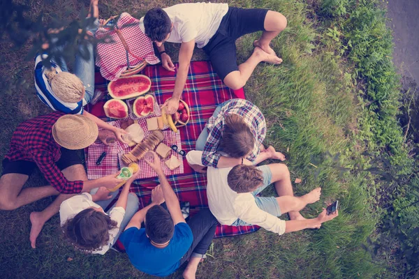 Grupo Jovens Amigos Desfrutando Bebida Tempo Piquenique Comida Bela Natureza — Fotografia de Stock